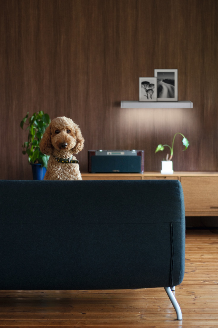 Ledvance Linear LED underskabsbelysning, 60 cm