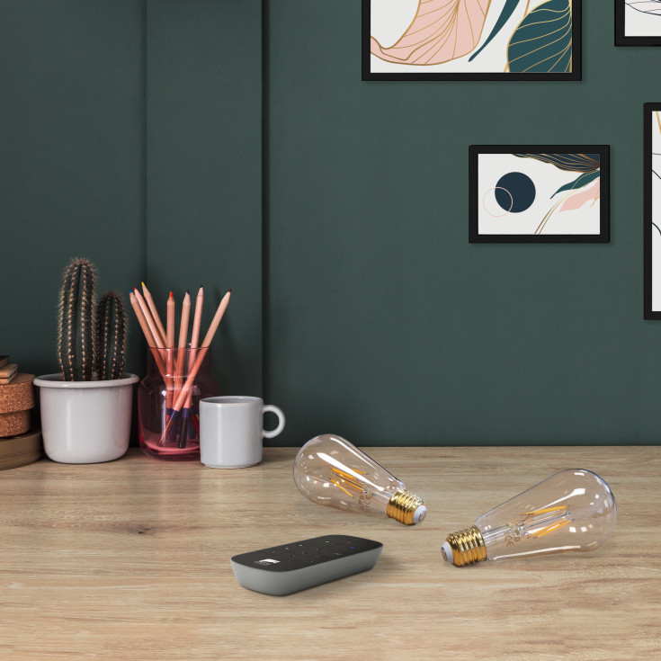 Eglo Z E27 edisonpære med fjernkontroll