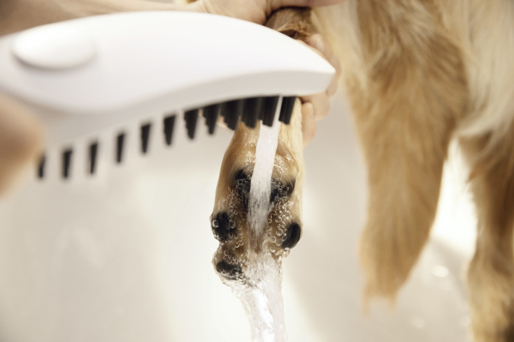 Hansgrohe DogShower hundebruser, vandbesparende, mat hvid