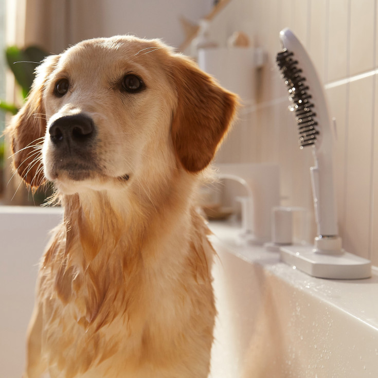 Hansgrohe DogShower hunddusj, vannbesparende, matt hvit