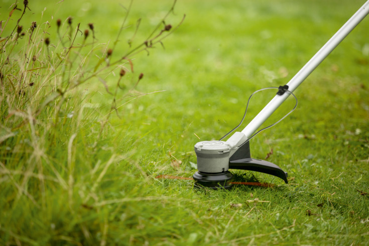 Bosch Græstrimmer 330mm uden batteri - 36V