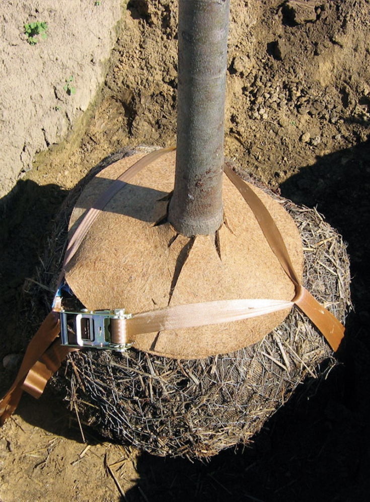 GEFA TREELOCK® 25 forankringssystem for rotklump