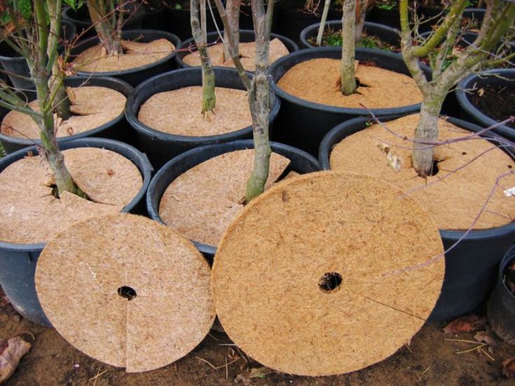 Gefa plantematte, kokos, 30 cm, 50 stk.