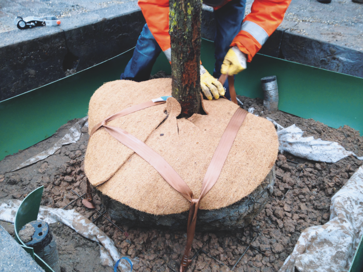 GEFA TREELOCK® Object 50 forankringssystem t/rotkule, forsterkning