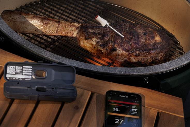 HerQs Pin Probe, trådløs stegetermometer, appstyret