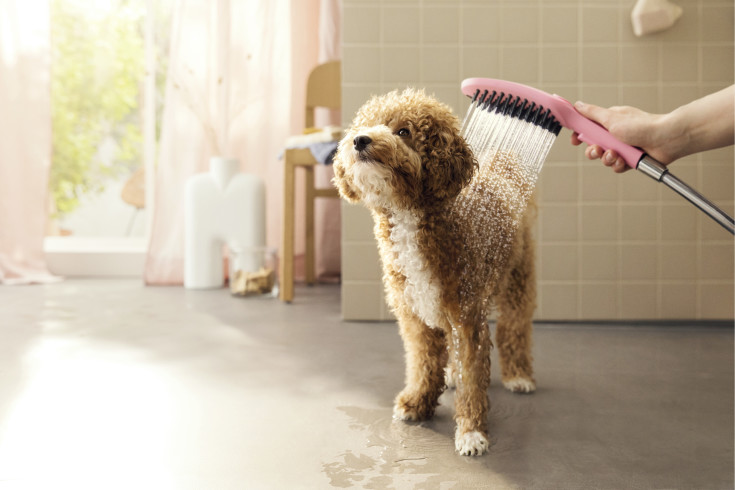 Hansgrohe DogShower hunddusj, vannbesparende, rosa
