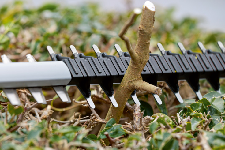 Bosch hekksaks GHE 18V-60, 60 cm, solo