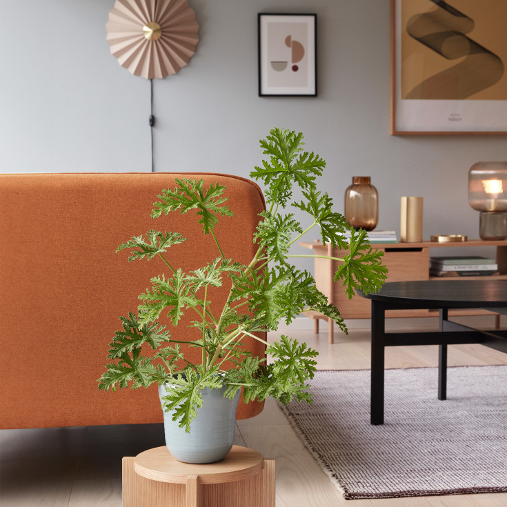 Hübsch Pliss vegglampe