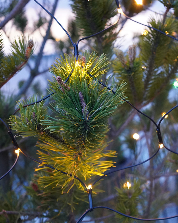 6 stk Sirius Top-Line Energy lysnett utendørs, 100 varmhvite lys, 2x1,5 meter, startsett
