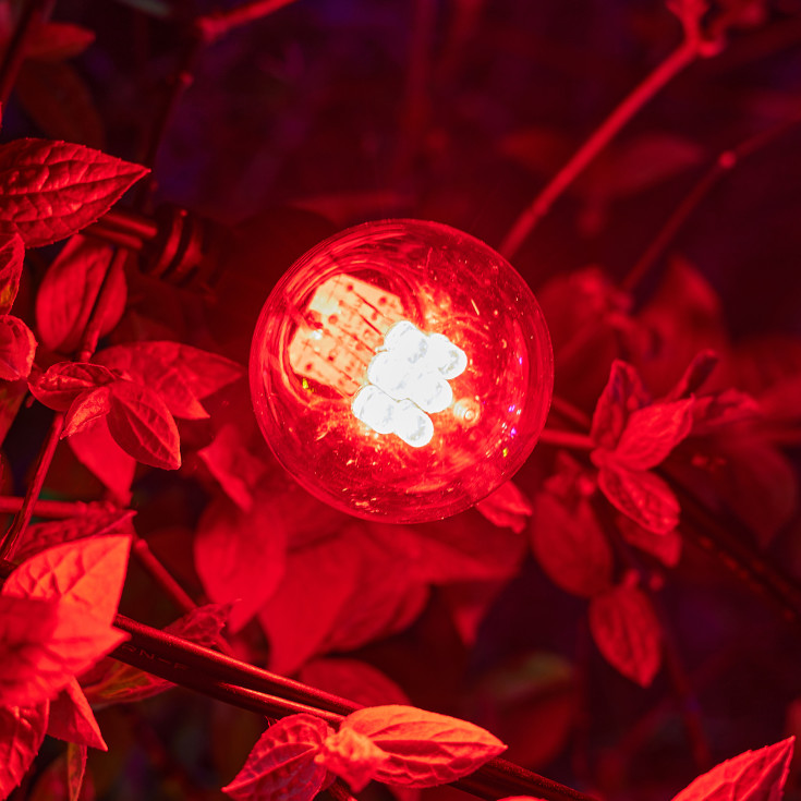 Za-Za lyskæde, farvet lys, 10 meter