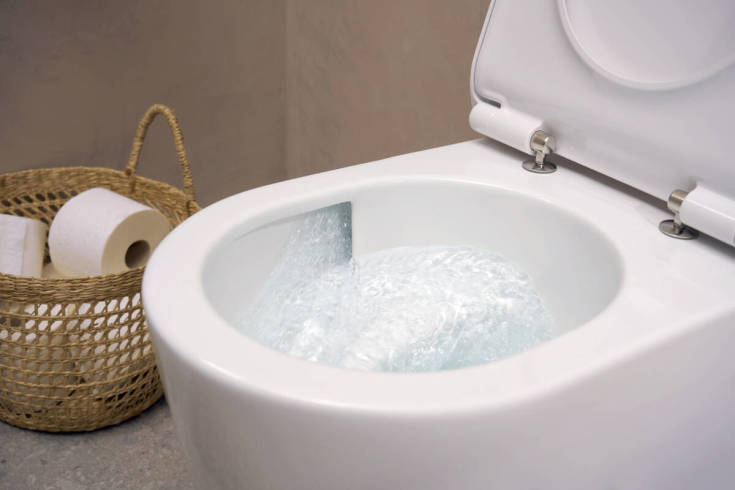 Hansgrohe EluPura S 540 vägghängd tolaett, utan spolkant, rengöringsvänlig, vit