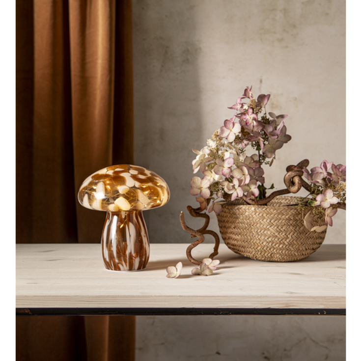 4 stk Star Trading Funghi stor svamp