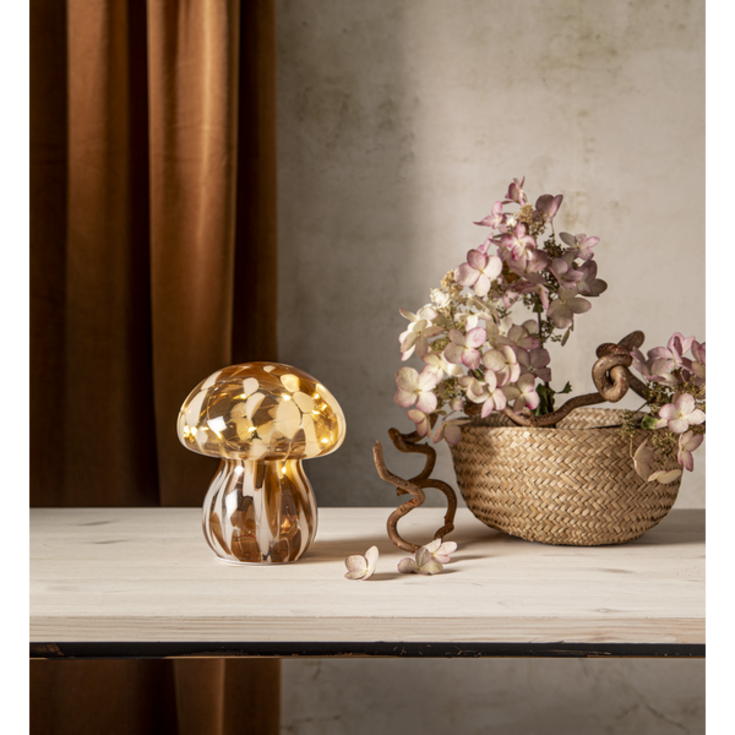 4 st Star Trading Funghi liten svamp