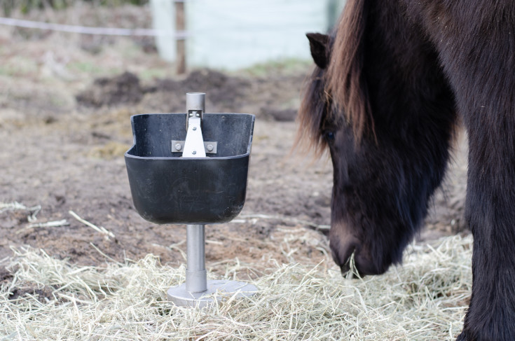Frostfri drikkeautomat, til heste og kvæg, 60 cm