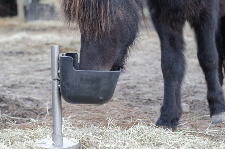 Frostfri drikkeautomat, til heste og kvæg, 60 cm
