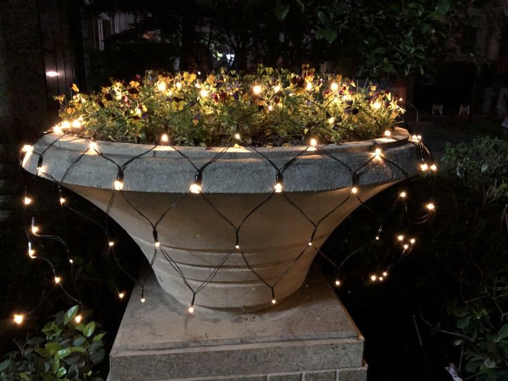 Veli Line utendørs LED lysnet til batteri