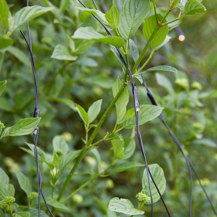 GARDEN 24 Lys Net 2x2m 160L sort