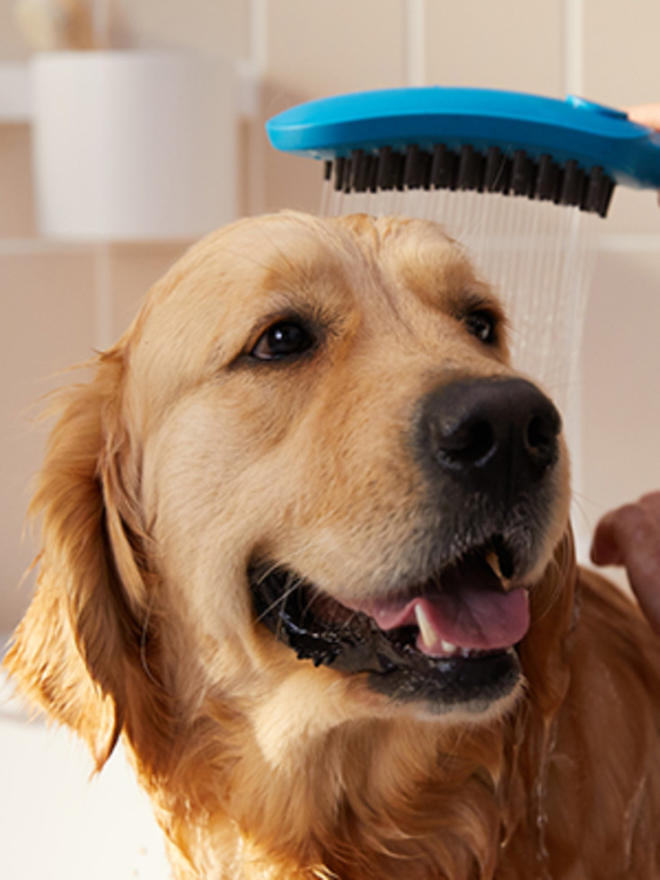 Hansgrohe DogShower hundebruser, vandbesparende, blå