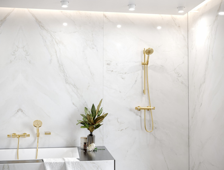 Hansgrohe Raindance Select S 120 hånddusj, vannbesparende, gull