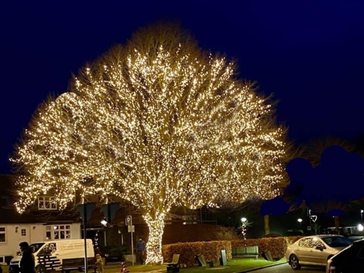 Za-Za Twilight udendørs lyskæde, 12 meter