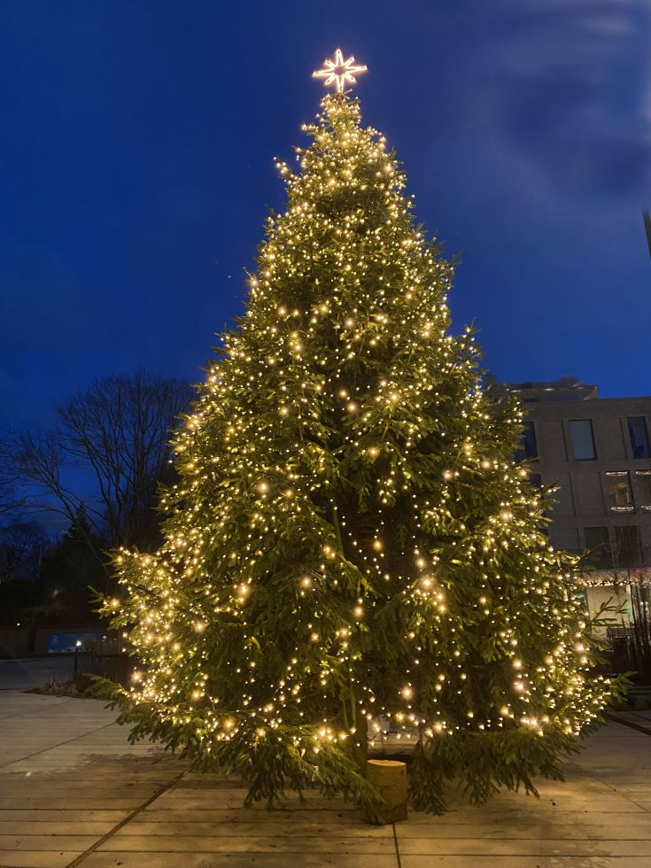 Za-Za Twilight utendørs lyslenke, 12 meter