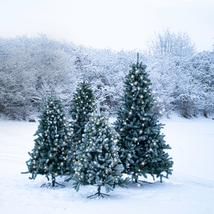 Sirius Anton kunstig juletre med lys, 240 cm