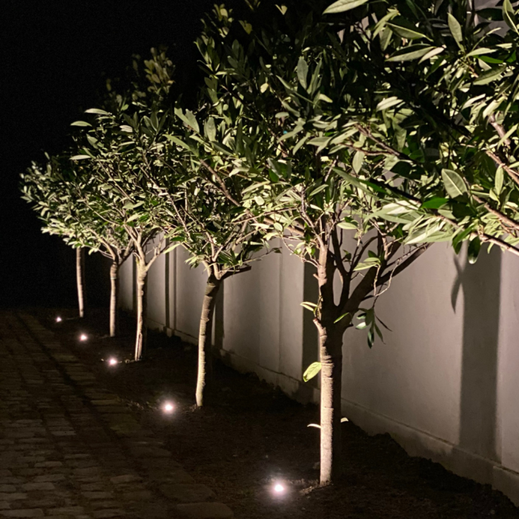 Light By Juul Chaussesten med Juulius 1 kippet spot, earl blue