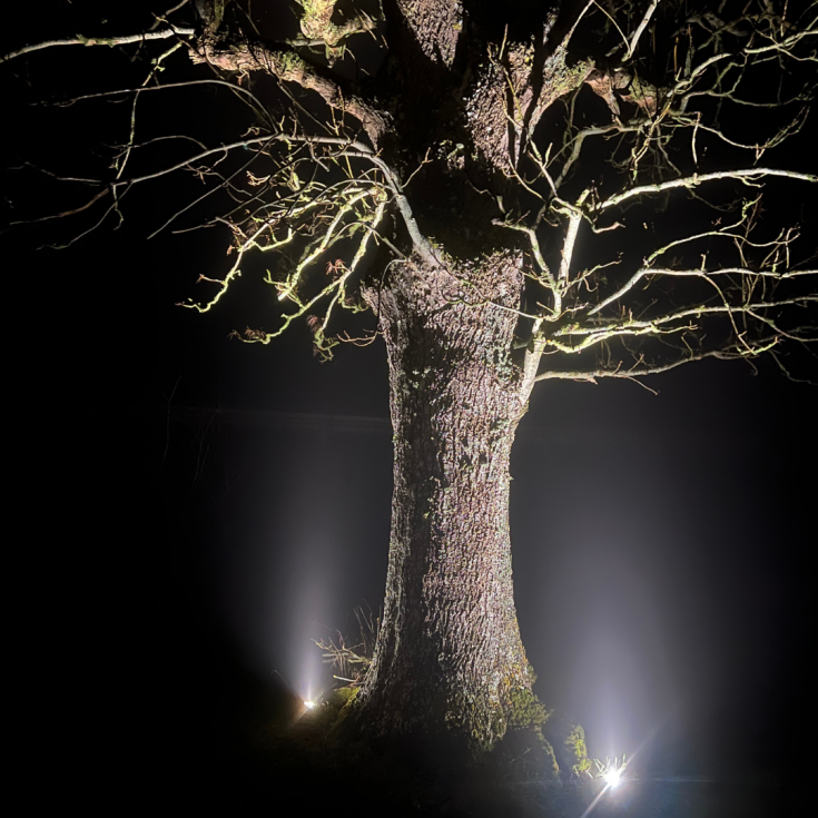 Light By Juul bedlampe med Juuliane spot, rustfrit stål