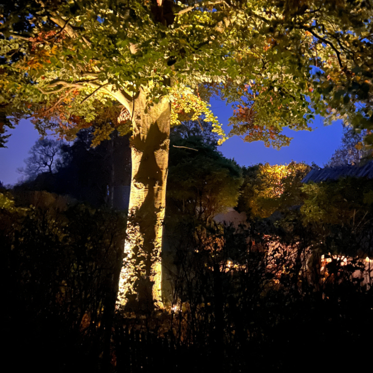 Light By Juul bedlampe med Juuliane spot, rust