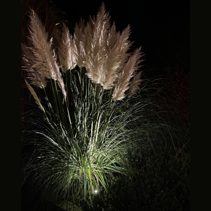 Light By Juul bedlampe med Juulius 3 spot, rustfrit stål