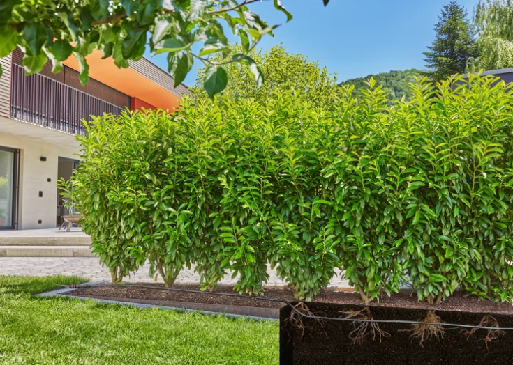 3 stk Gardena Micro-Drip-System hekk-/busksett (25 m)