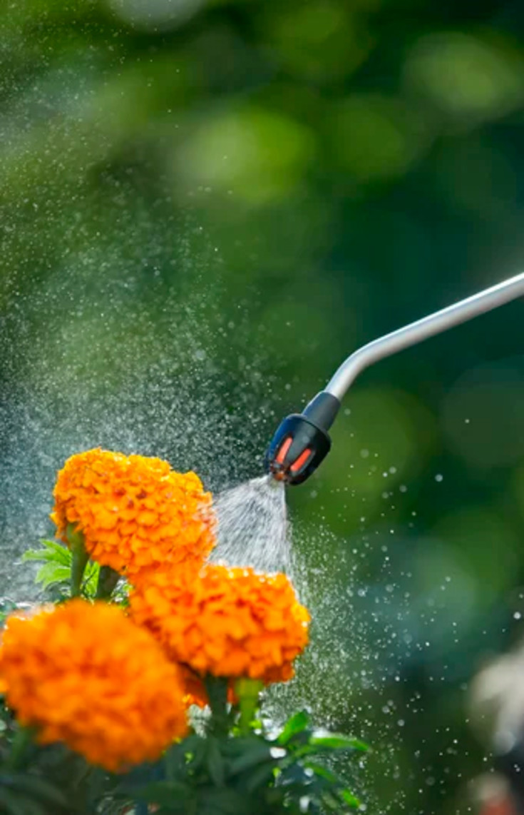 8 stk Gardena Comfort trykksprøyte, 5 l