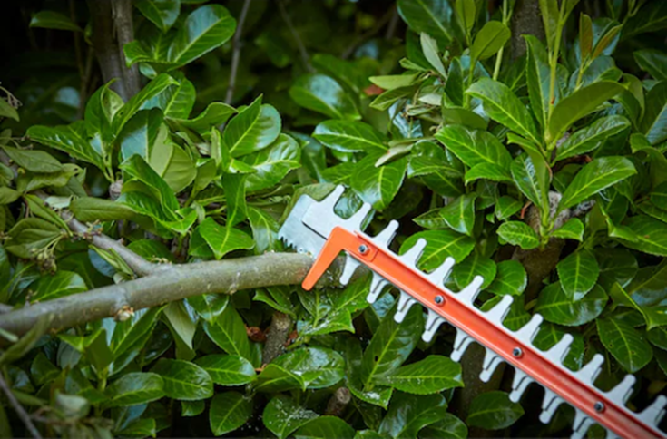 BLACK & DECKER 650w hækkeklipper BEHTS551-QS med 60 cm sværd