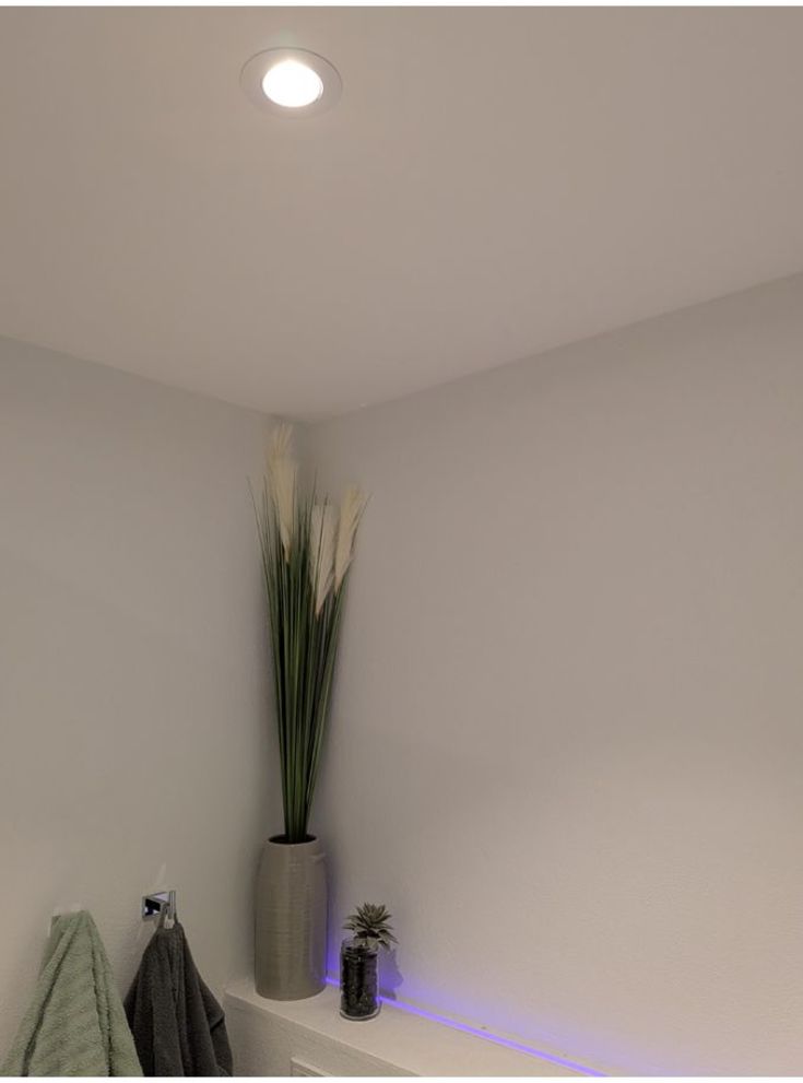 HiluX DS8 tilt spot til Shelly - 2200-6500K, CRI95, 600lm, hvid