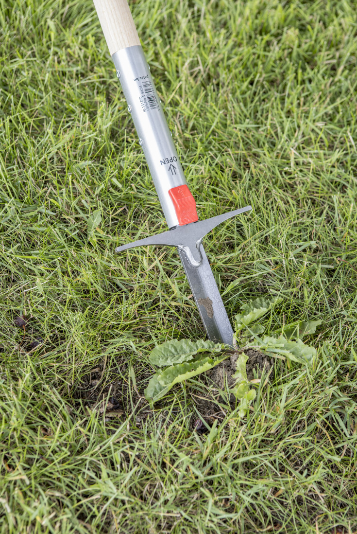 Polet Click-Pro ukrudtsfjerner