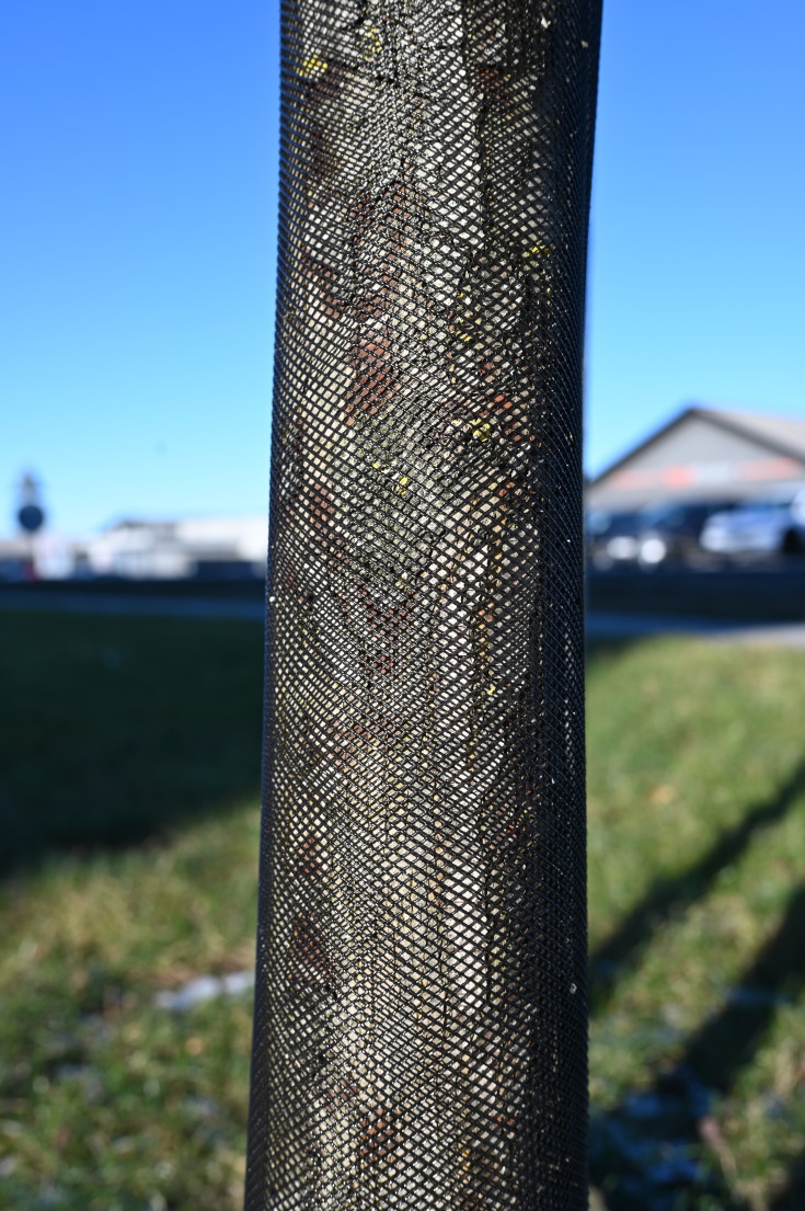 Treeflex træbeskyttelsesnet, sort, 150 x 1100 mm, 5 stk.