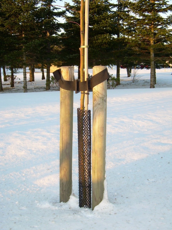 Treeguard træbeskyttelsesnet, sort, 62 x 600 mm