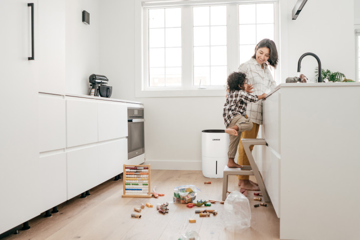 Eeese Adam affugter, appstyret, 20 liter/døgn, 70 m²