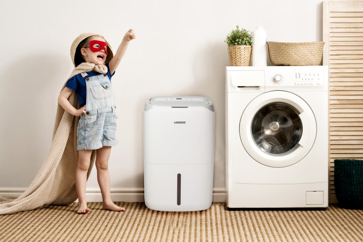 Eeese Carl affugter og luftrenser, appstyret, 25 liter/døgn, 120 m²