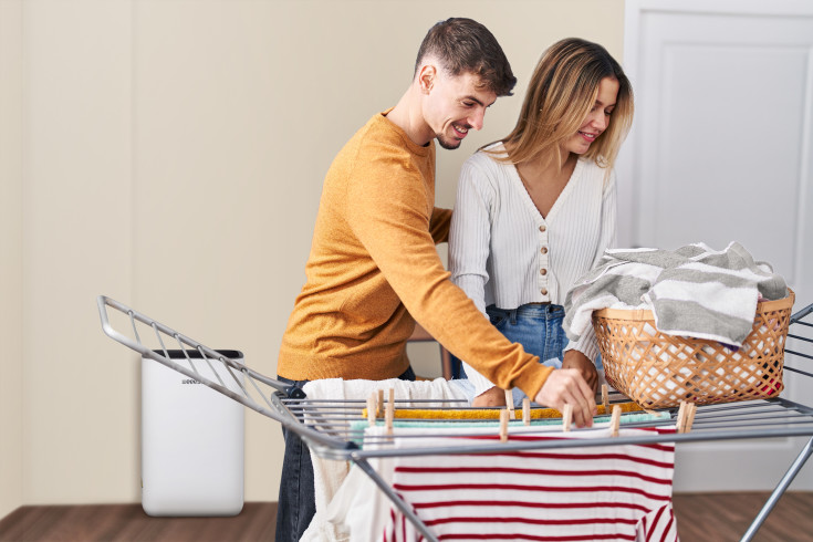 Eeese Anna affugter og luftrenser, appstyret, 20 liter/døgn, 100 m²