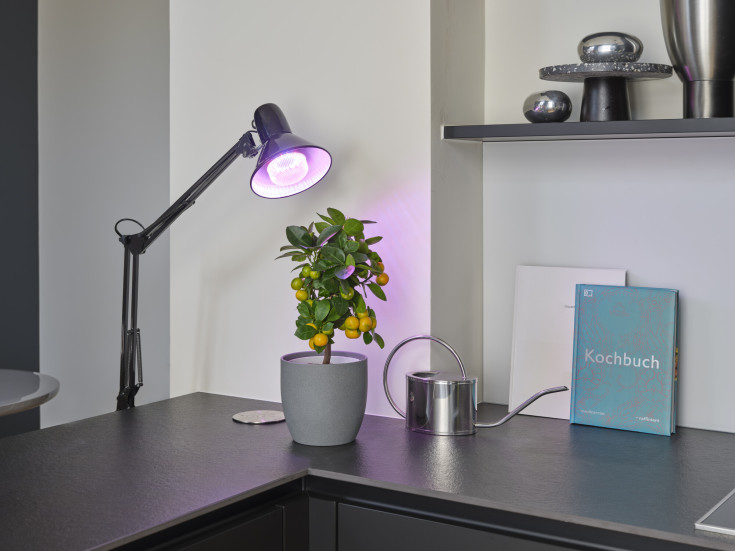 Osram Grow E27 plantelys, 10W