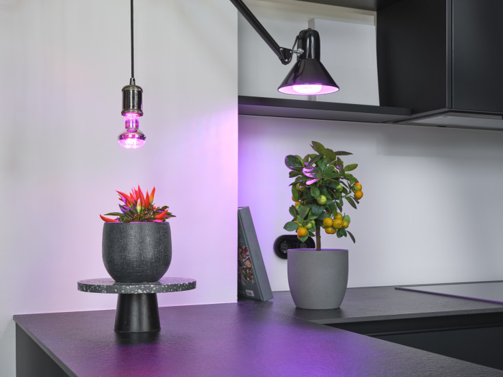 Osram Grow E27 plantelys, 7,5W