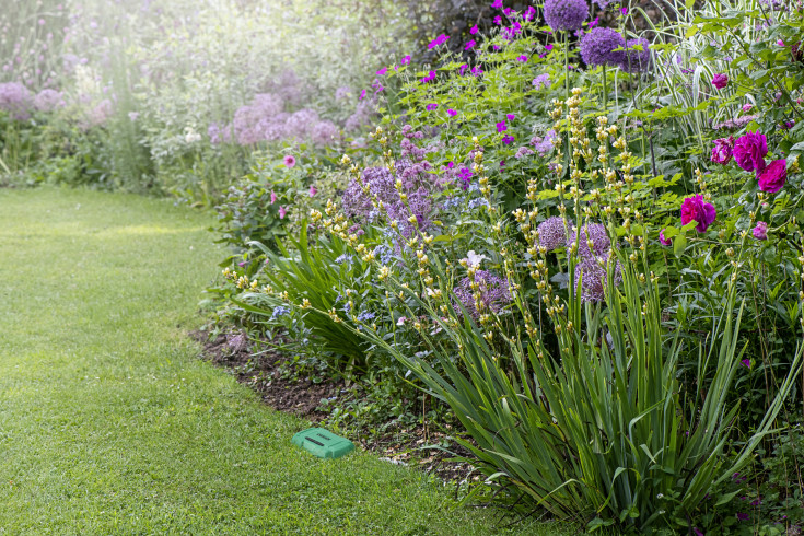 Osram Smart+ Wifi fugtsensor til vandingssystem