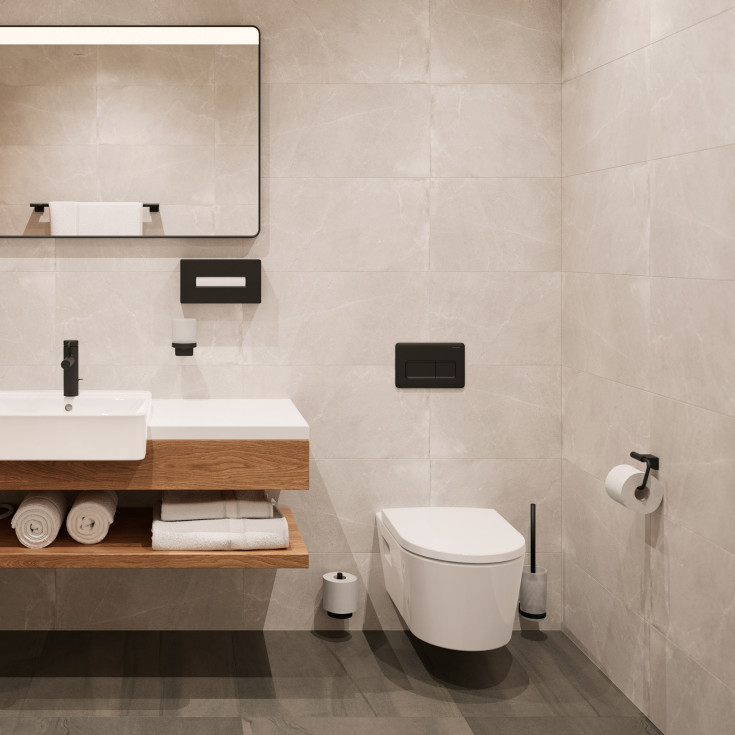 Hansgrohe AddStoris toiletbørste, mat sort