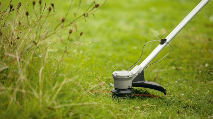 Bosch Græstrimmer 330mm med 1 x batteri - 36V/2,0Ah