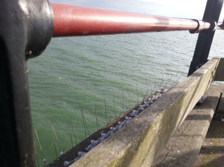 Fågelskydd 5 meter, 4 rader fågelpiggar
