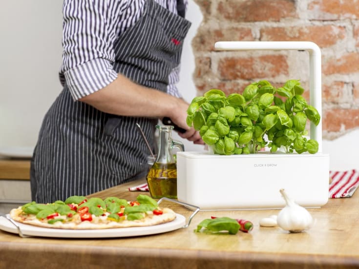 Click and Grow Smart Garden startsæt, hvid
