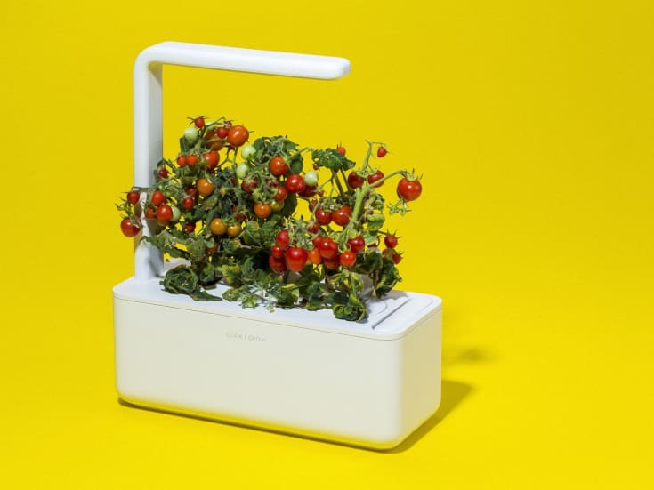 Click and Grow Smart Garden startsæt, hvid