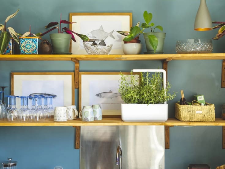 Click and Grow Smart Garden startsæt, hvid