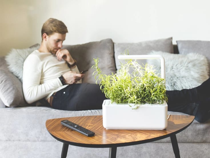 Click and Grow Smart Garden startsæt, hvid